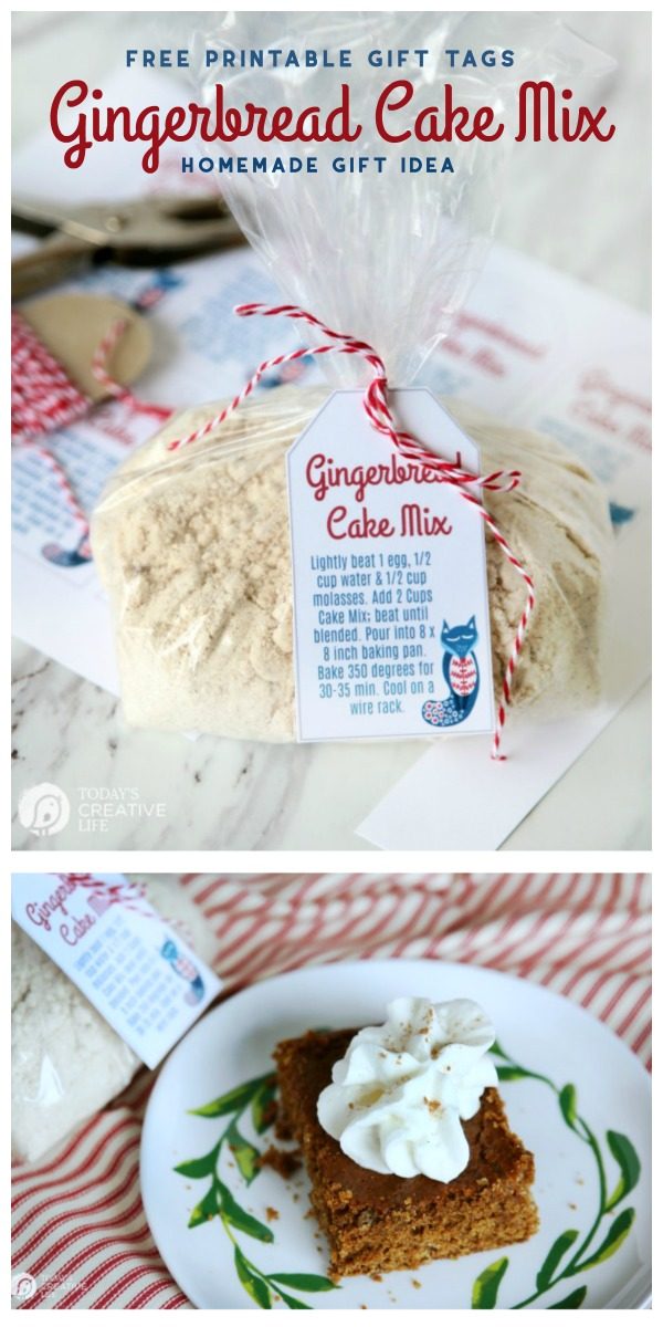 Gingerbread Cake Mix with Free Printable Gift Tag | Homemade Gift ideas | Homemade Christmas Gifts | Gifts from the Kitchen | TodaysCreativeLife.com