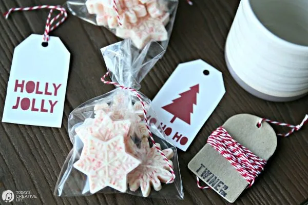 Hot Chocolate Peppermint Melts | Make Peppermint hot cocoa in an instant with these peppermint snowflake cocoa melts. Just stir it in! TodaysCreativeLife.com