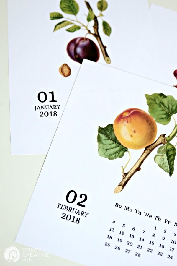 Vintage Fruit 2018 Printable Calendar from TodaysCreativeLife.com 