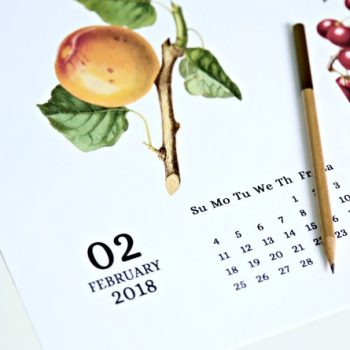 Vintage Fruit 2018 Printable Calendar from TodaysCreativeLife.com