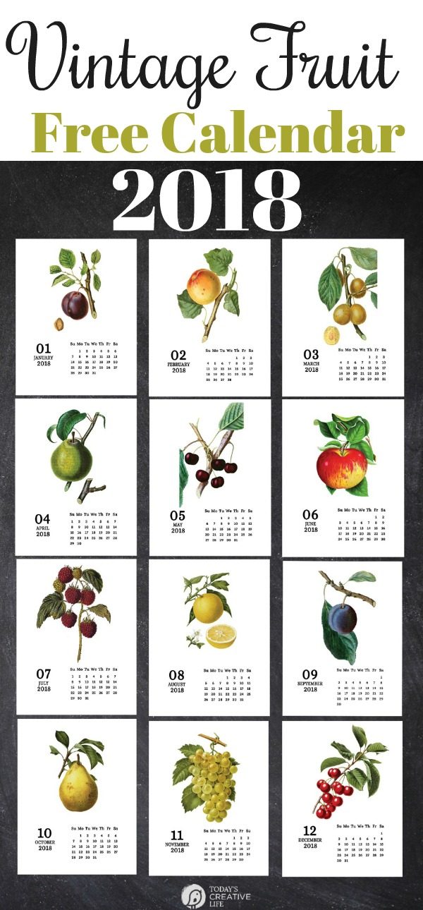 Vintage Fruit 2018 Printable Calendar | Free Calendar | Botanical Designs | Monthly calendar from TodaysCreativeLife.com 