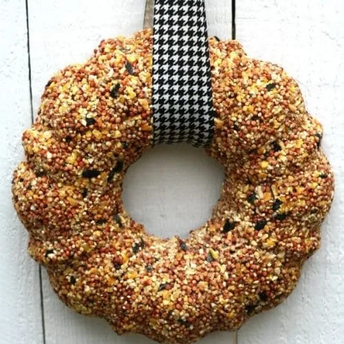 How to Make a Birdseed Wreath