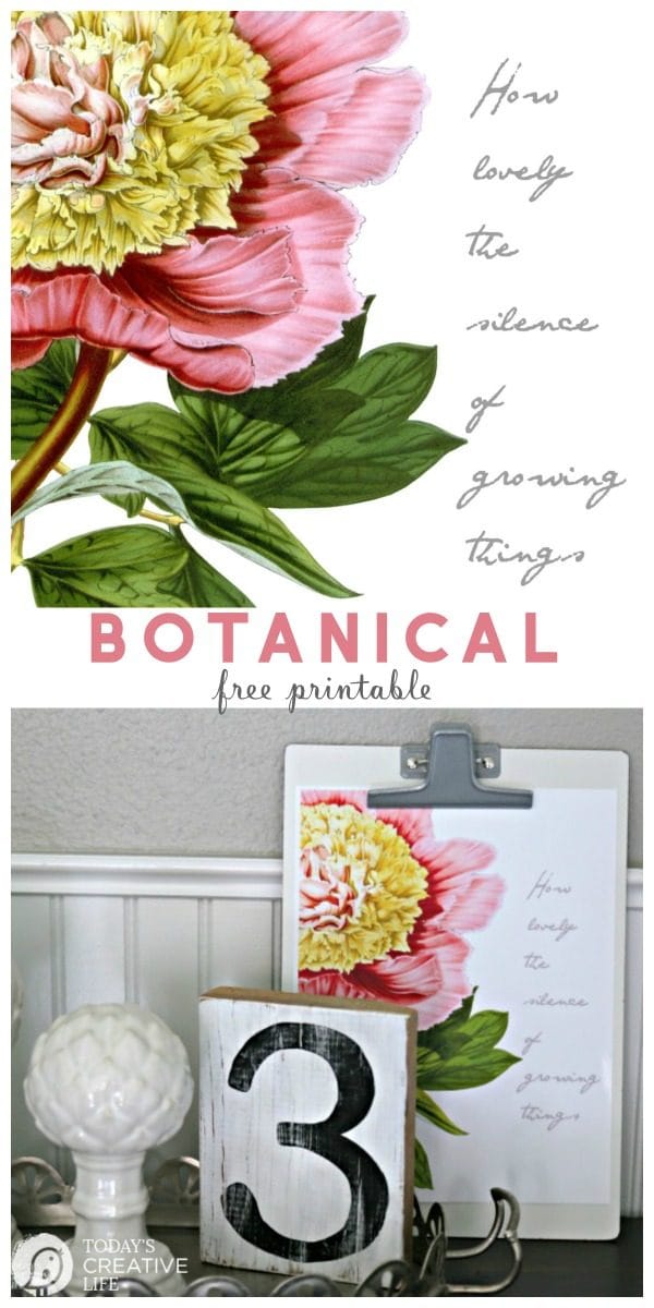 Free Printable Botanical Wall Art | DIY Wall Art with Vintage Floral Botanical Quote | Inspirational quote | DIY Decor | Budget Decorating | Spring Printables for decorating | TodaysCreativeLife.com