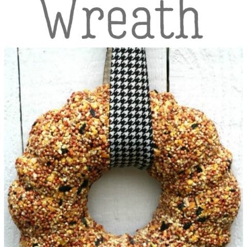 How to Make a Birdseed Wreath | Homemade Bird Food | Feed the birds | DIY bird feeder | TodaysCreativeLife.com