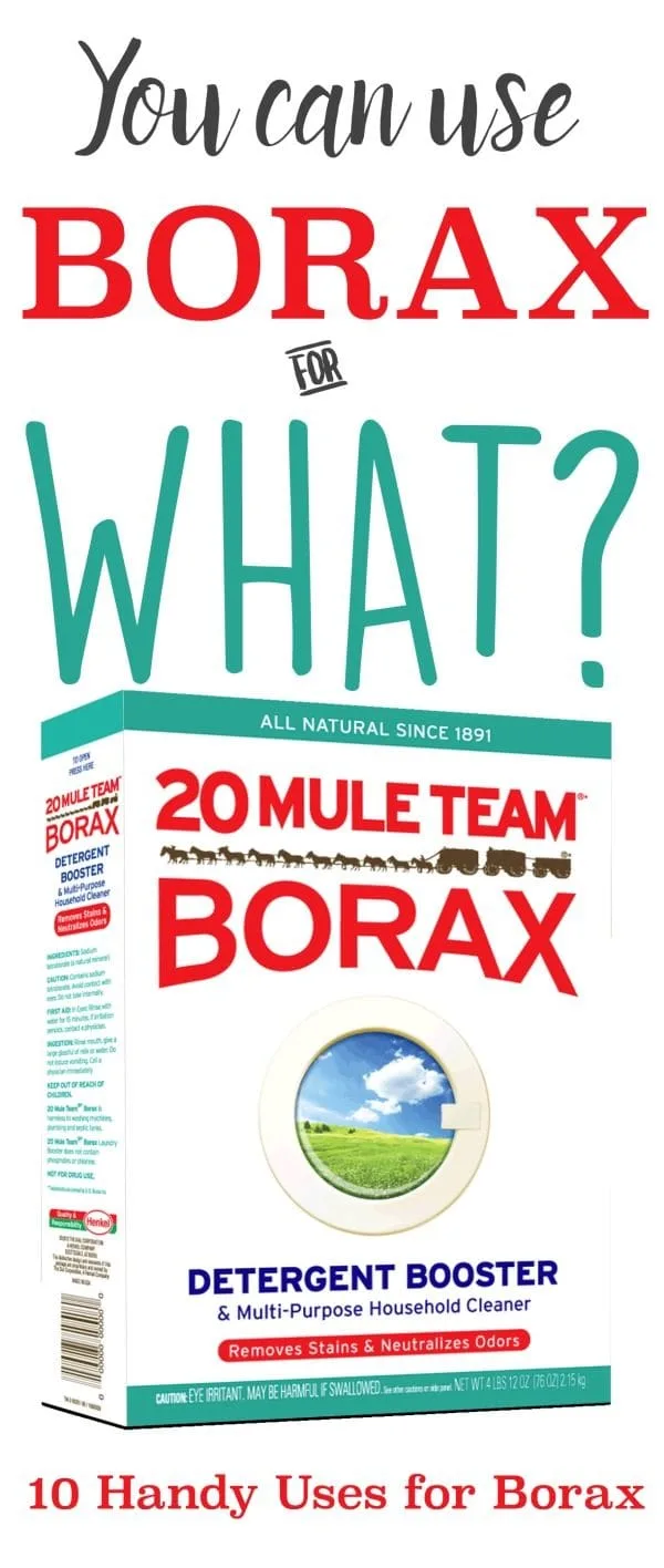 10 Handy Household Uses for Borax | Cleaning Hacks | Unclog your Drain | Deodorize your Carpets, Clean your hair brushes and combs | Use in your Garden | TodaysCreativeLife.com