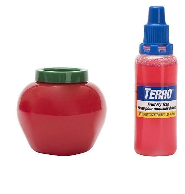 https://todayscreativelife.com/wp-content/uploads/2018/03/terro-fruit-fly-trap-600x632.jpg