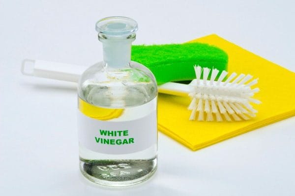 Natural Ways to Deodorize your Home | Toxin Free ways to have a cleaner smelling home. 10 Household Ways to Use Vinegar | Beauty hacks using white vinegar or apple cider vinegar | Cleaning tips and Tricks | TodaysCreativeLife.com