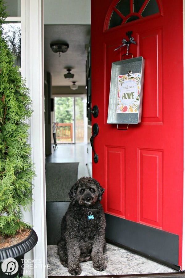 Simple Porch Decorating for Spring | Decorate your Front Porch | DIY Decorating | Budget Friendly Decor | Porch decor ideas | TodaysCreativeLife.com