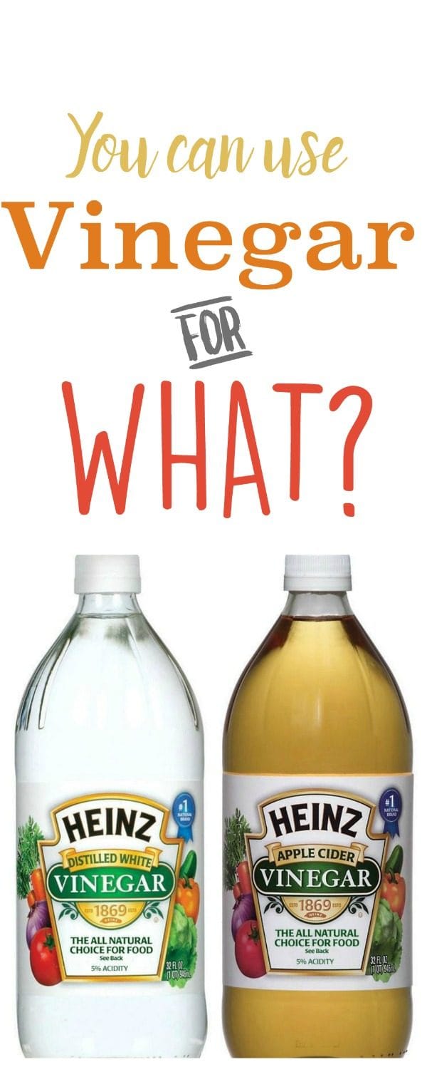 10 Household Ways to Use Vinegar Today's Creative Life