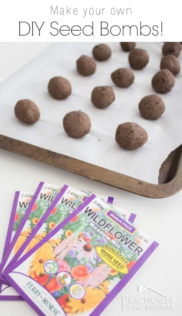 How to Make Garden Seed Bombs by Practically Functional