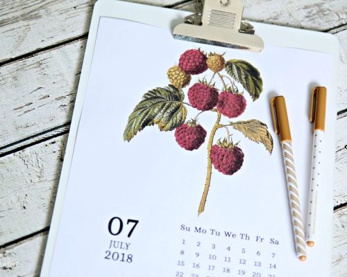 Printable 2018 Vintage Fruit Calendar | TodaysCreativeLife.com