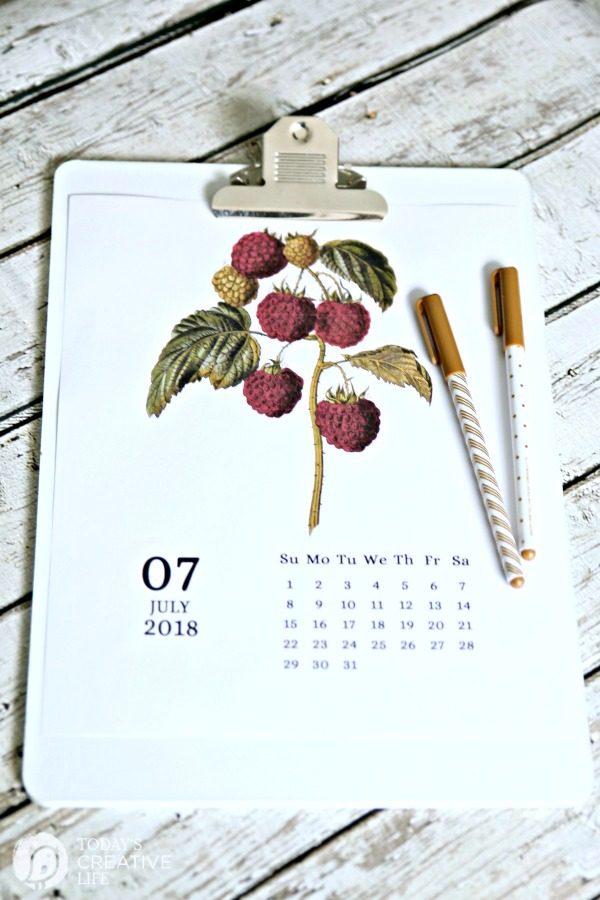 2018 Printable July Calendar | TodaysCreativeLife.com
