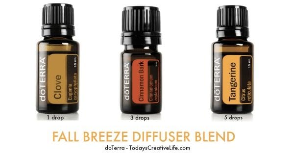 Fall Essential Oil Diffuser Blends - Today's Creative Life