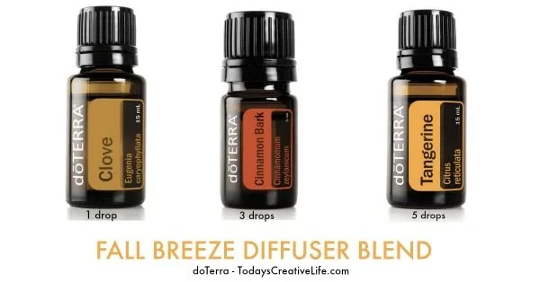 Essential Oil Diffuser Blend for Fall | TodaysCreativeLife.com