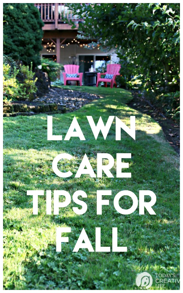 Simple Lawn Care for Fall | Lawn Care Tips for Autumn | What to do for your grass in the fall | Grass Seed USA | AD | Taking care of your yard for Fall | TodaysCreativeLife.com