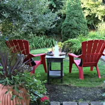 Simple Lawn Care for Fall | Lawn Care Tips for Fall | Taking Care of your grass | Grass Seed USA | TodaysCreativeLife.com