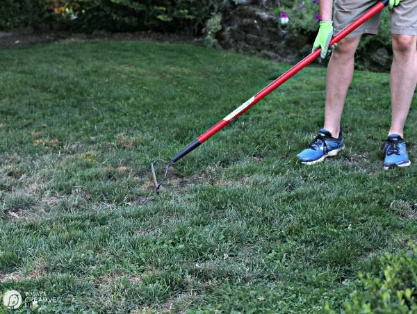 raking topsoil on a lawn