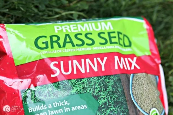 Grass Seed of America | How to reseed your lawn | TodaysCreativeLife.com