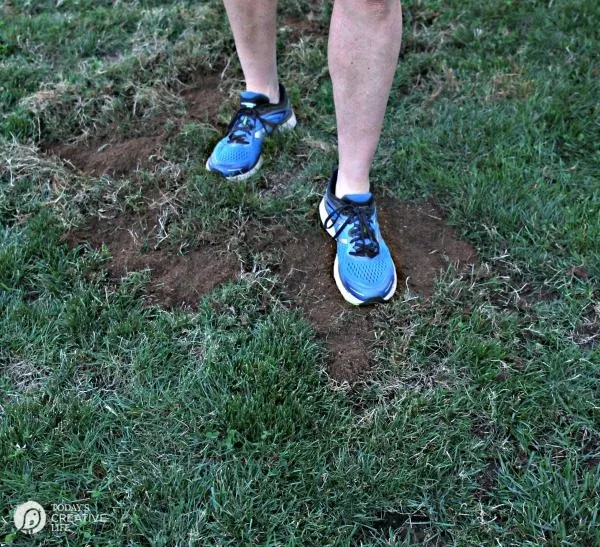 stomping down topsoil to reseed a lawn