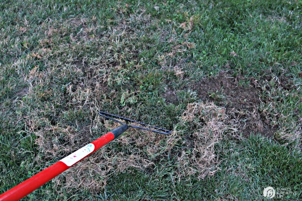 Spring Lawn Care Tips - Winter Recovery | How to reseed a spring lawn | TodaysCreativeLife.com