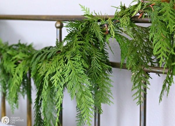 fresh bough of cedar garland