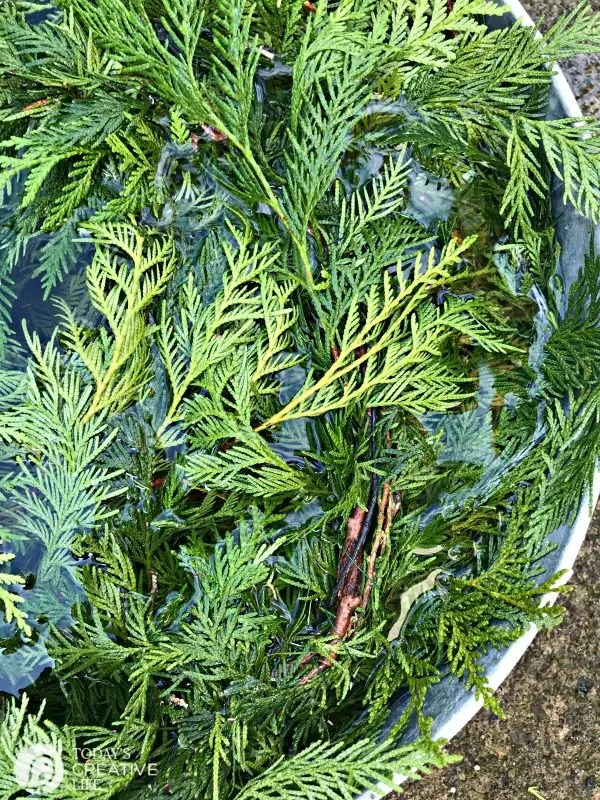 boughs of fresh cedar garland