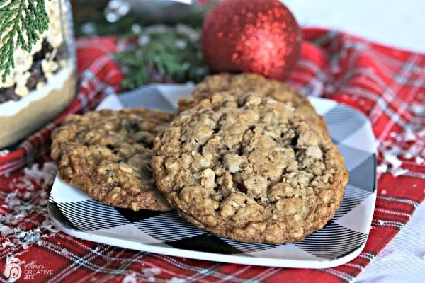 Oatmeal Chocolate Chip Cookies Recipe | TodaysCreativeLife.com