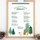 Winter Diffuser Blends Essential Oils