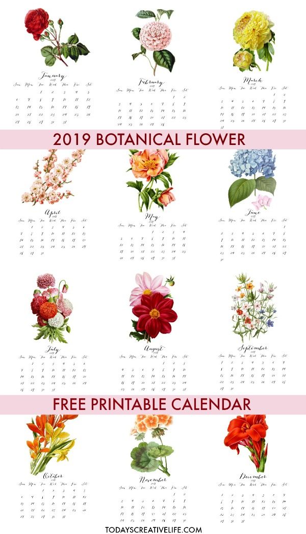 2019 Printable Botanical Flower Calendar | Free Printable Calendar | Vintage Flower Botanicals | Month to month printable calendar | Find it on TodaysCreativeLife.com