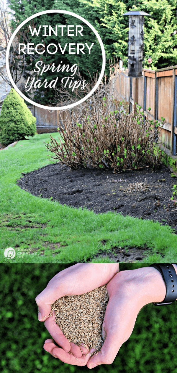 Spring Lawn Care Tips - Winter Recovery lawn tips | How to prep your lawn for spring | Springtime yard prep | How to reseed your lawn | TodaysCreativeLife.com