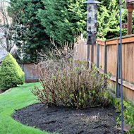 Spring Lawn Care Tips – Winter Recovery