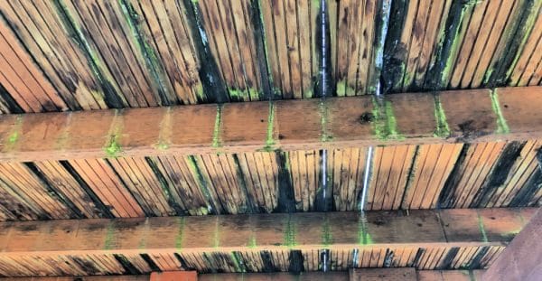 How to know when to replace a deck \ Mold and rot on wood