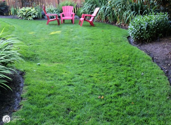 Summer Lawn Ideas | TodaysCreativeLife.com