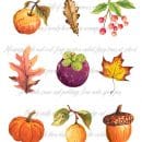 Fall clip art on paper