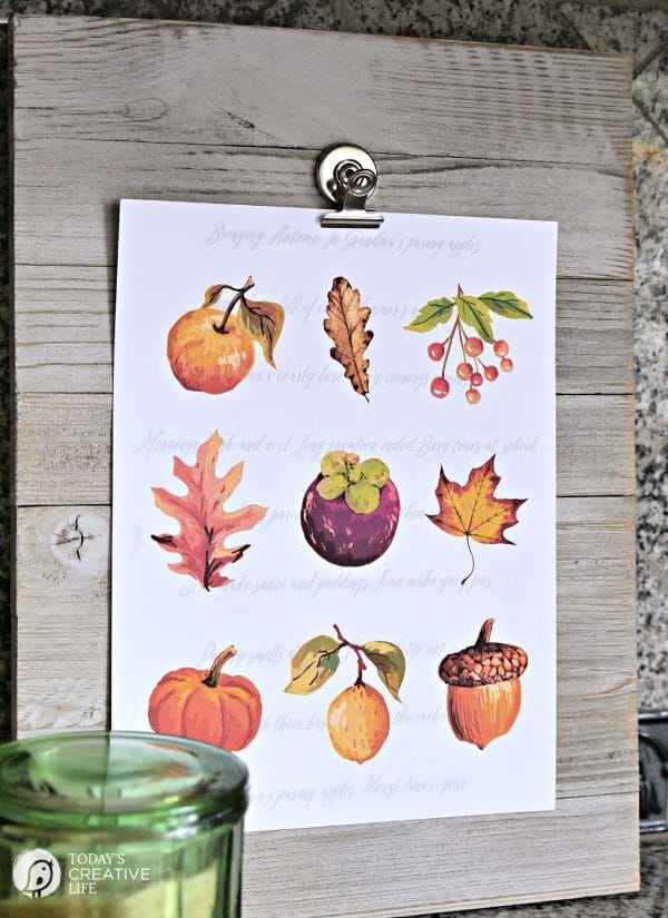 Autumn clip art on paper for display