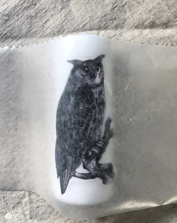 Placing wax paper over tissue image 