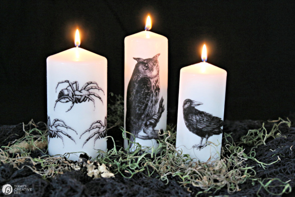 3 candles with halloween images