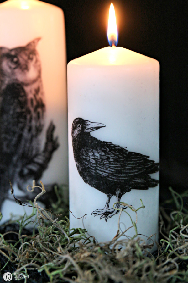 white candle with a crow image