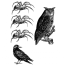 halloween graphics | Owl, crow and spiders