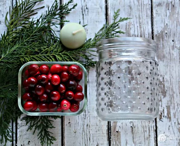 Supplies to make Cedar & Cranberry luminaries