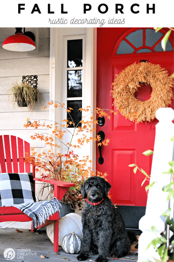 Fall porch with red door, fall leaves and black dog.