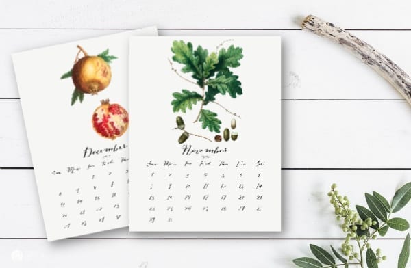 BOTANICAL CALENDARS laying on a surface.