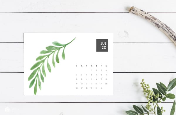 2020 Calendar with fern design