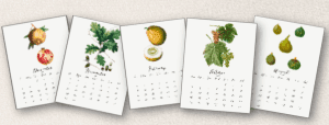 DIY Botanical Wall Art - Today's Creative Life