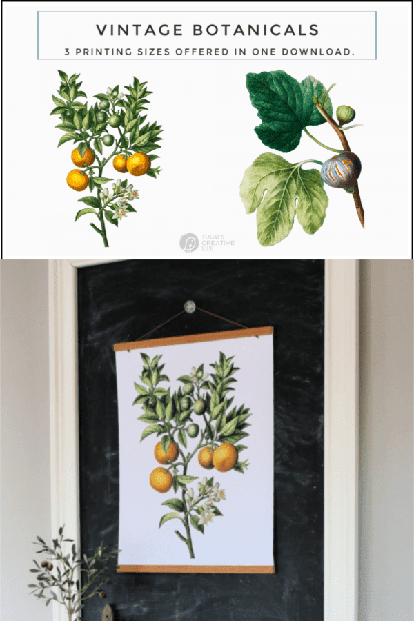 Photo Collage of botanical printable posters