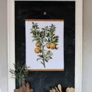 Botanical Poster on chalkboard in kitchen for home decor