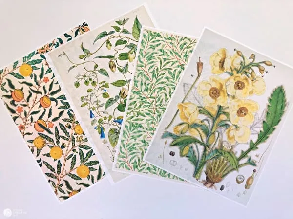 printer paper with botanical patterns