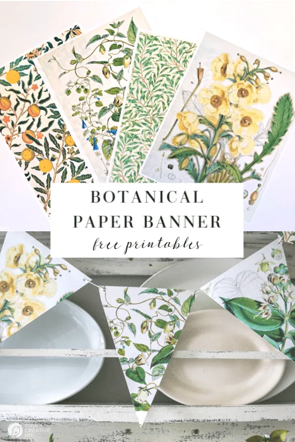 Photo Collage of botanical papers and banner