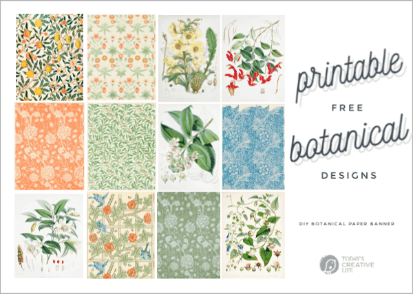 photo collage of vintage botanical papers