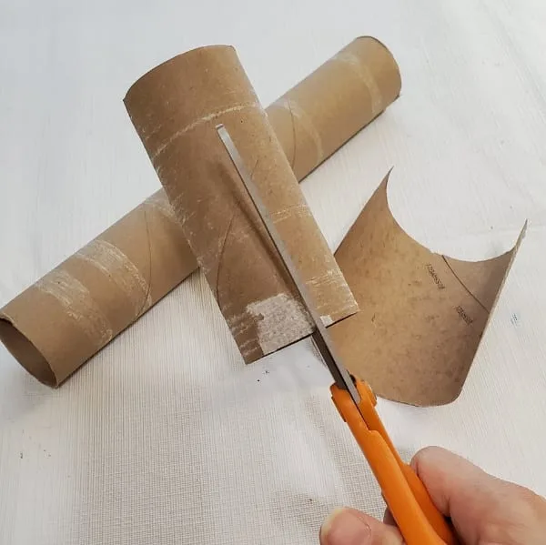 Toilet Paper Tubes